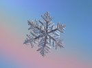 snowflake-macro-photo-13-february-2017-6-alexey-kljatov.jpg