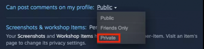 steamprivacy.png