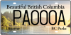 BC Plate 5.png
