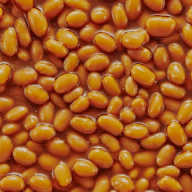 beansupplier