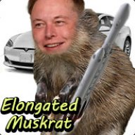 Elongated Muskrat