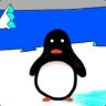 penguin24