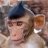 Mr monkey :)