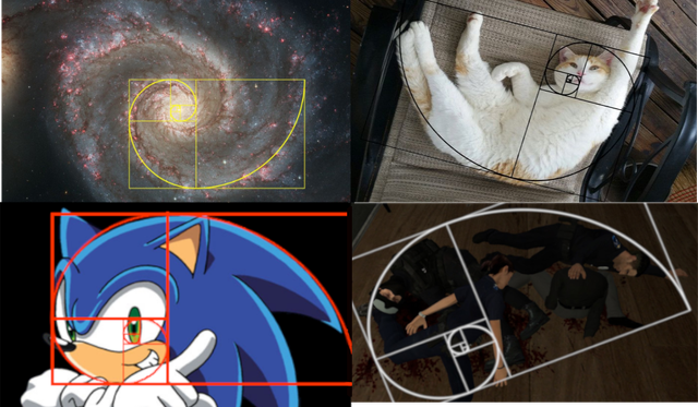 Cops-Golden-Ratio.png