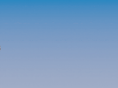 6f06ffc9-885c-4885-9a52-2326862c355e.gif