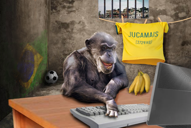 chimpazil-JUCA.png